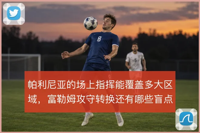 帕利尼亚的场上指挥能覆盖多大区域,富勒姆攻守转换还有哪些盲点