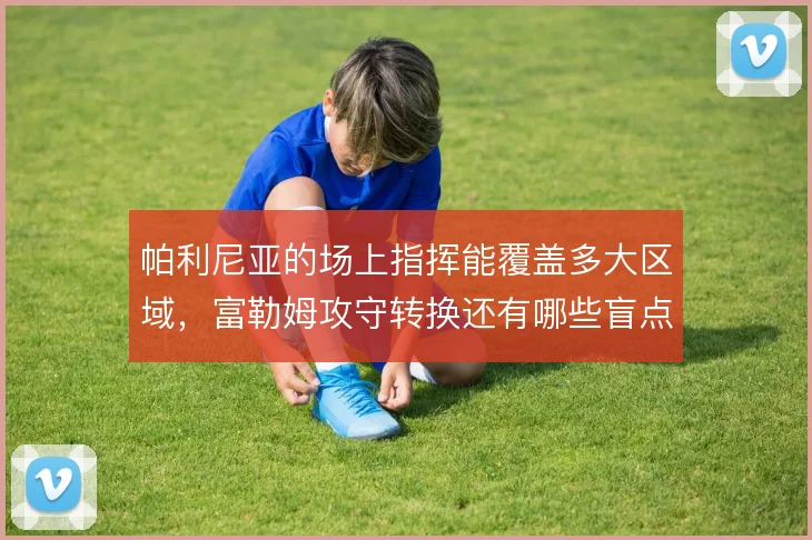 帕利尼亚的场上指挥能覆盖多大区域,富勒姆攻守转换还有哪些盲点